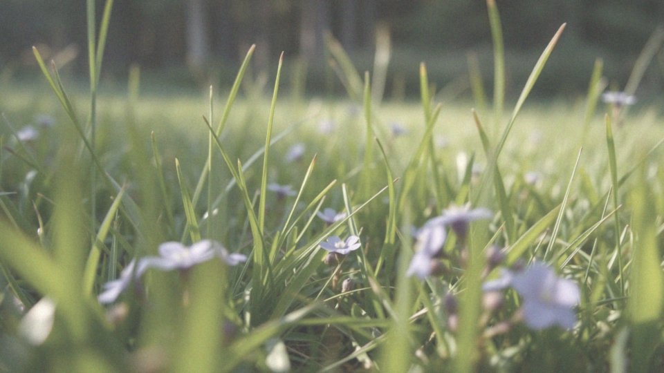 Jakie są przyczyny dużych czerwonych plam po ukąszeniu?