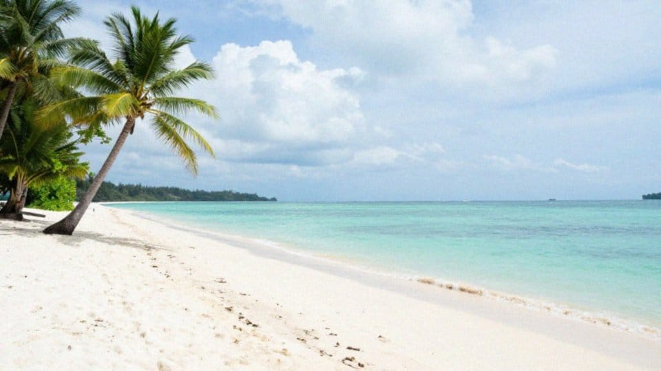 Czy na Koh Samui można jechać przez cały rok?