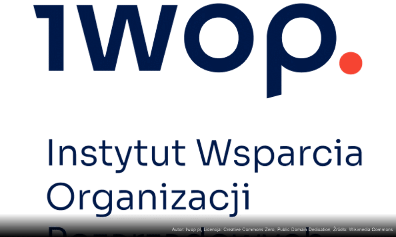 Instytut Wsparcia Organizacji Pozarządowych (IWOP)