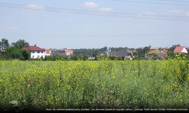 Lamowice Stare