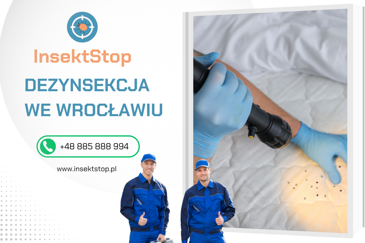 dezynsekcja we Wrocławiu