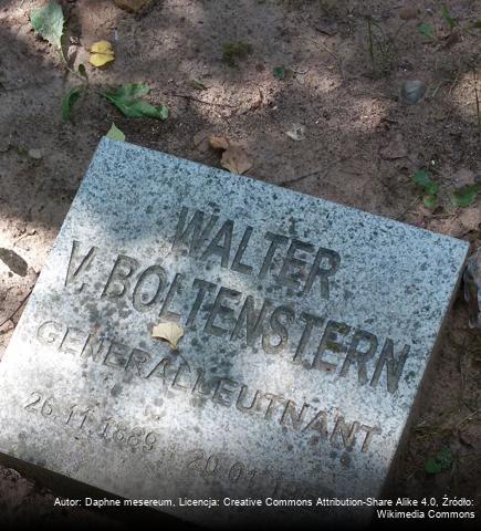 Walter von Boltenstern