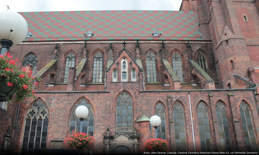 Wrocław wprowadza nowy program opieki nad bezdomnymi zwierzętami