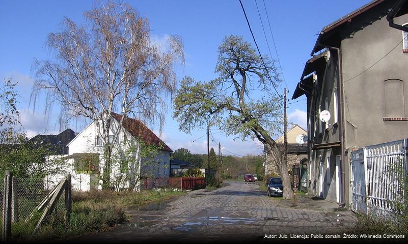 Wilczy Kąt