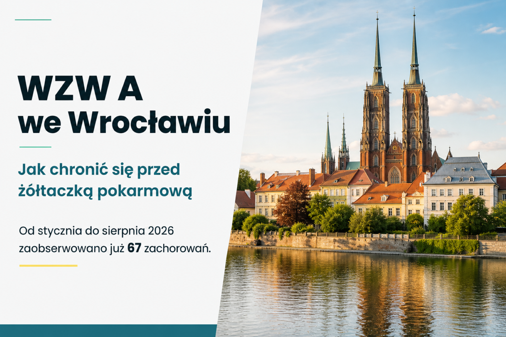 Zwiększona ilość zachorowań na WZW A we Wrocławiu. Jak się chronić?